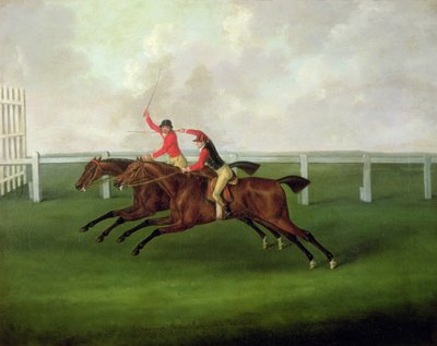 Dungannon batte Rockingham, 1768 da John Nott Sartorius